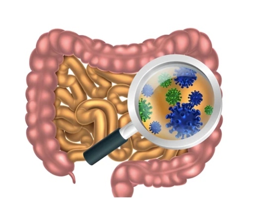 Bowtrol Probiotics image