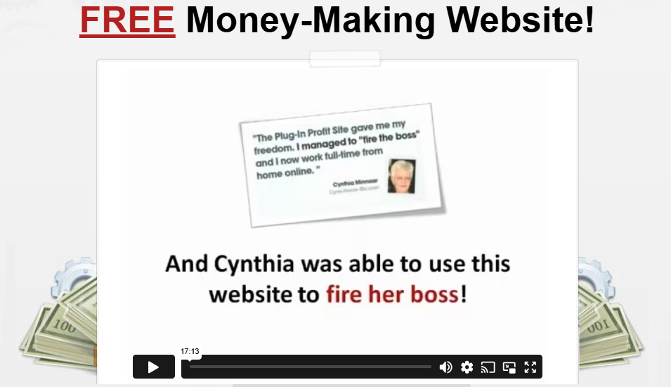 Plug-In-Profits Site (PIPS) image
