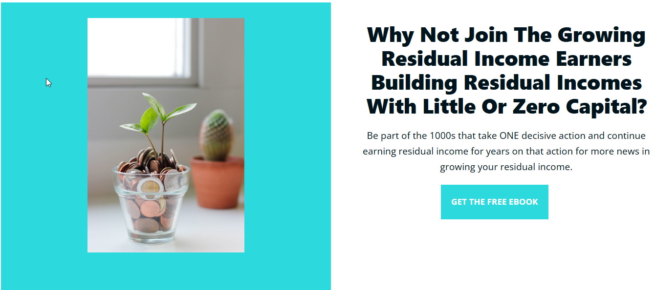 Grow Residual Income image