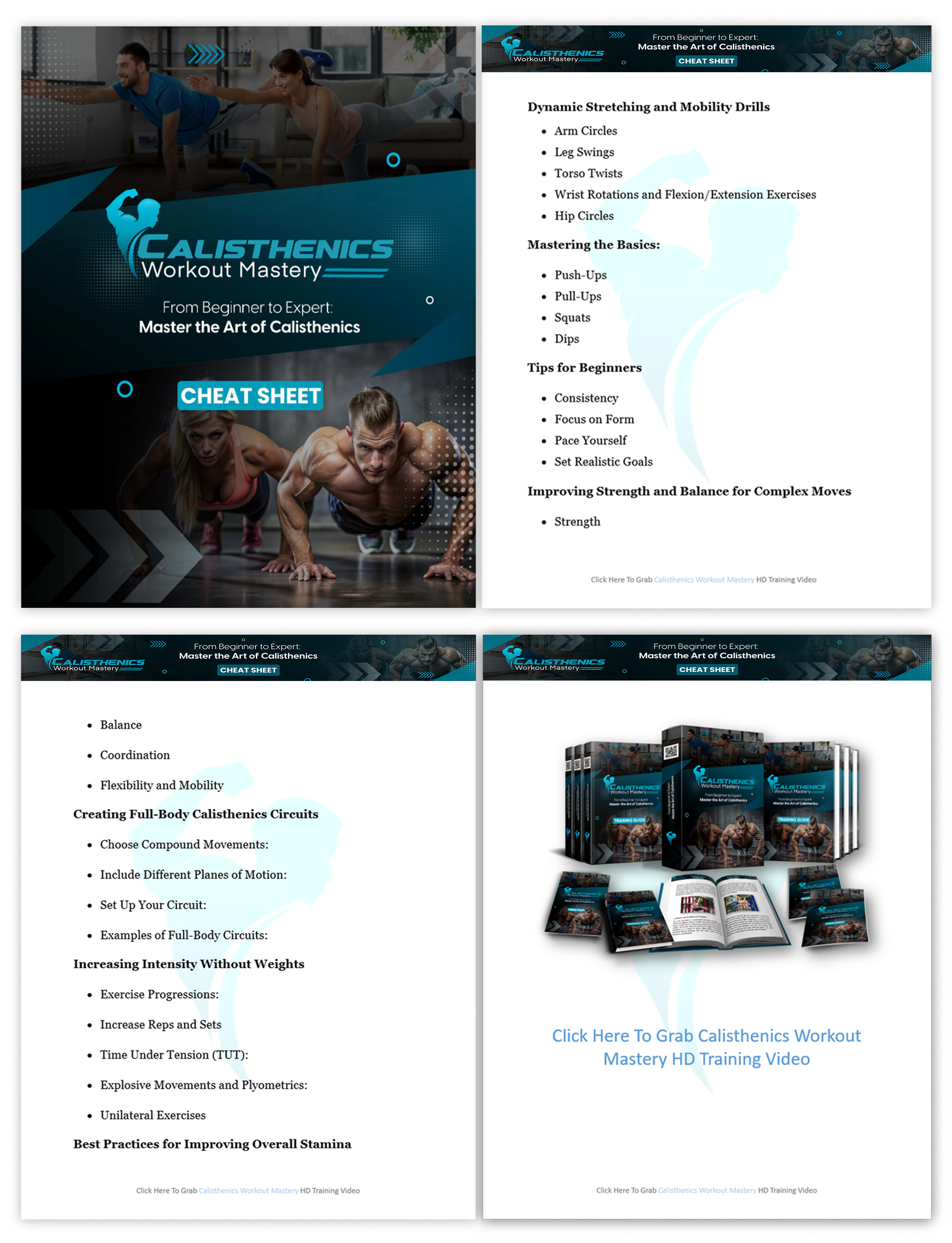 (PLR) Calisthenics Workout Mastery image