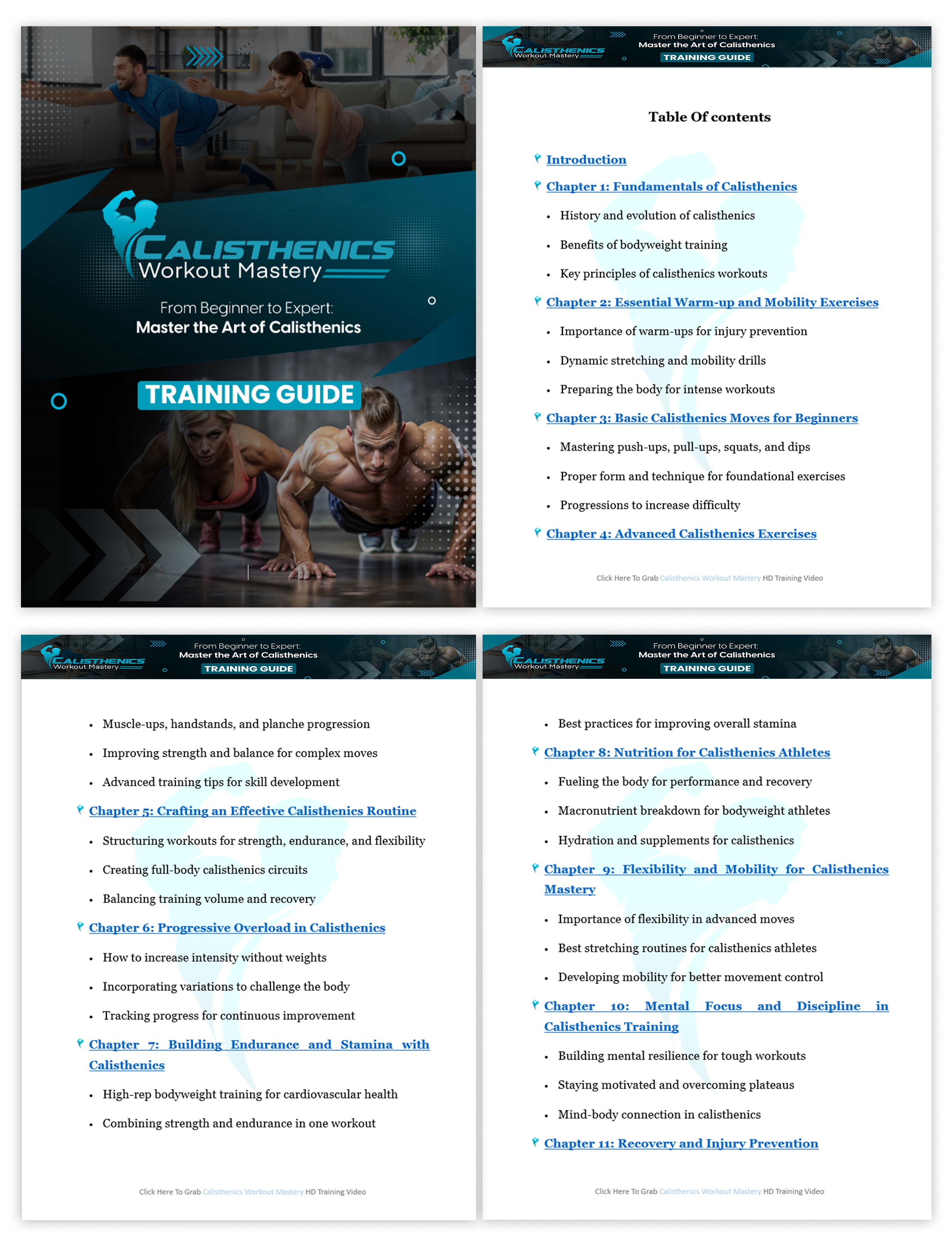 (PLR) Calisthenics Workout Mastery image
