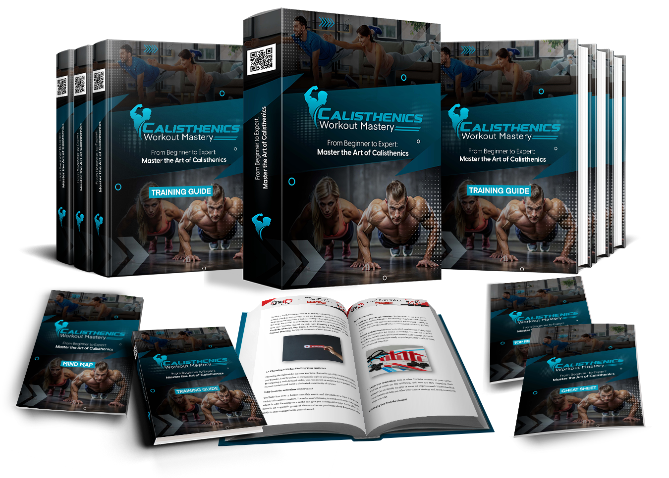 (PLR) Calisthenics Workout Mastery image